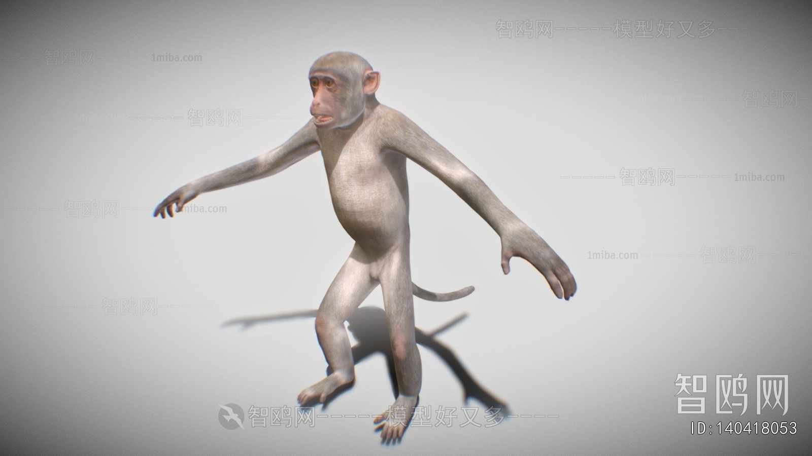 Modern Mammal