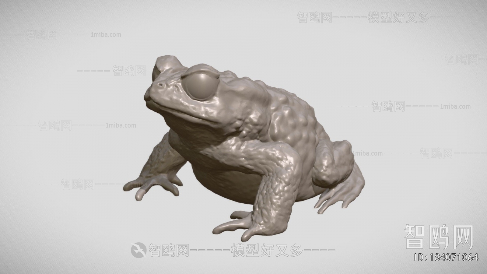 Modern Aquatic Animals