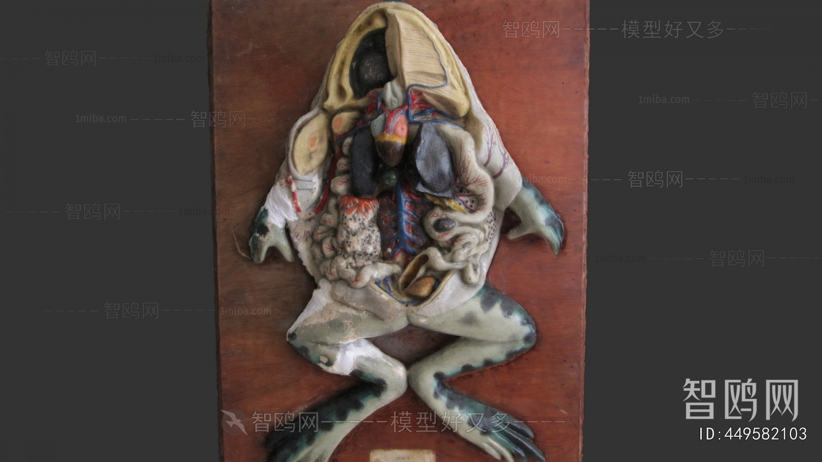 Modern Medical Equipment