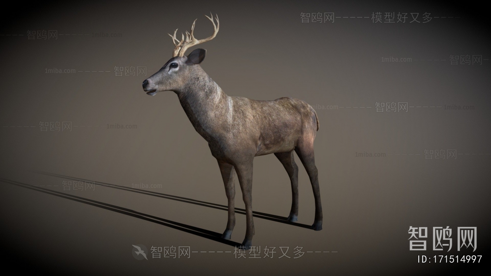 Modern Mammal