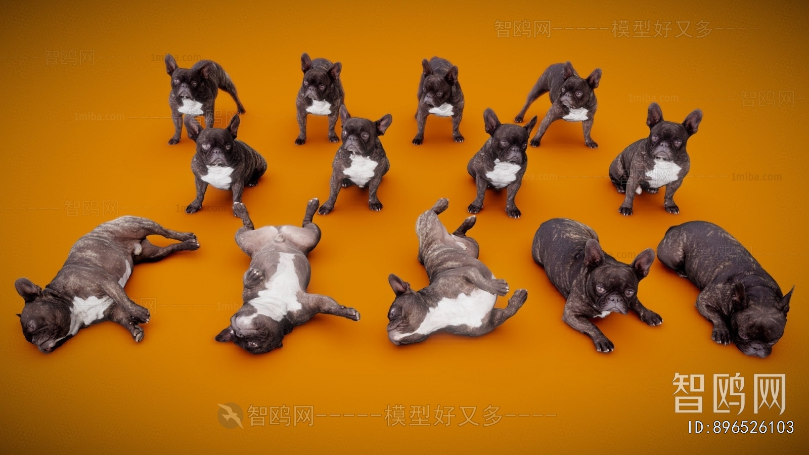 Modern Animal