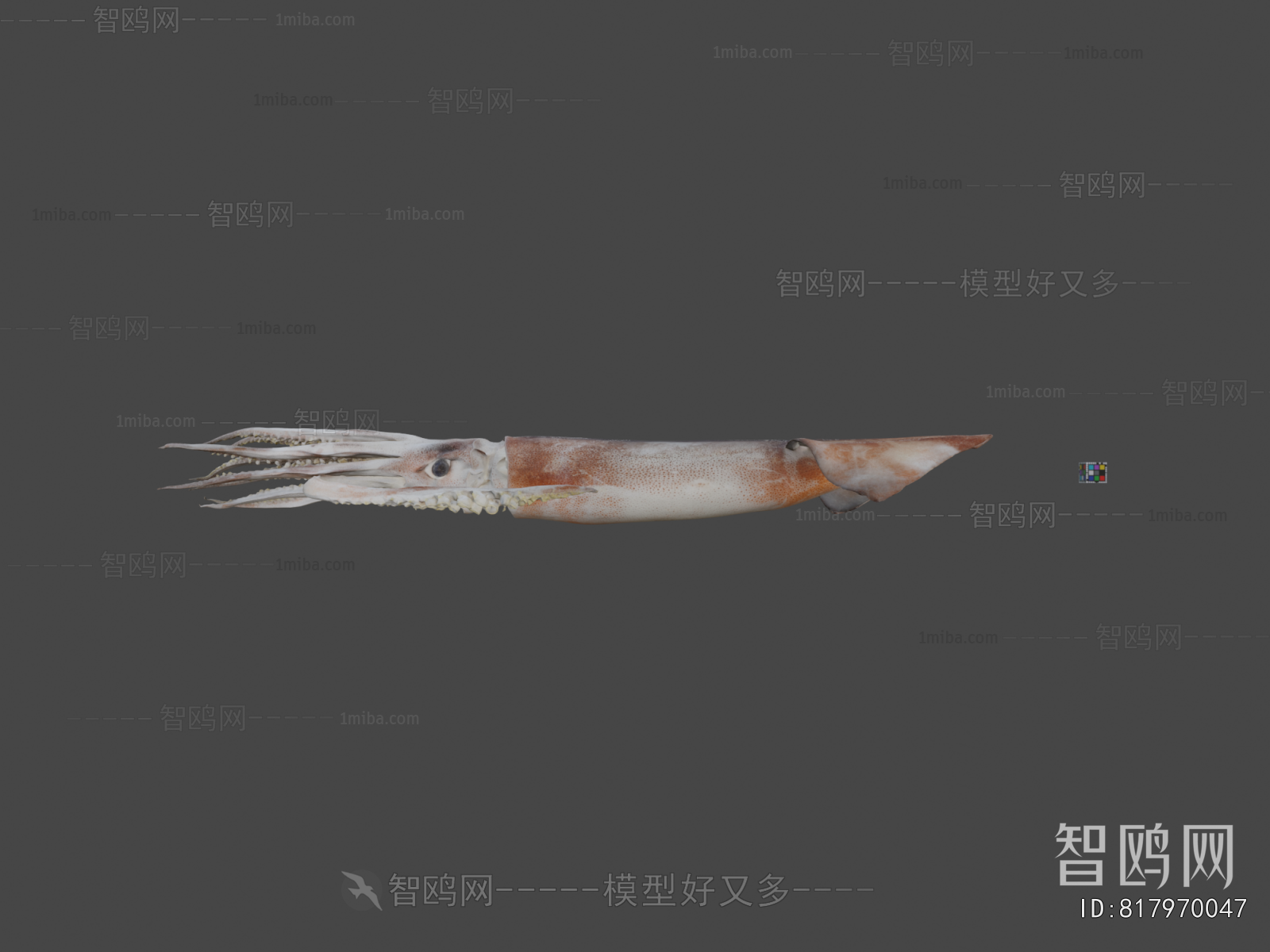 Modern Aquatic Animals