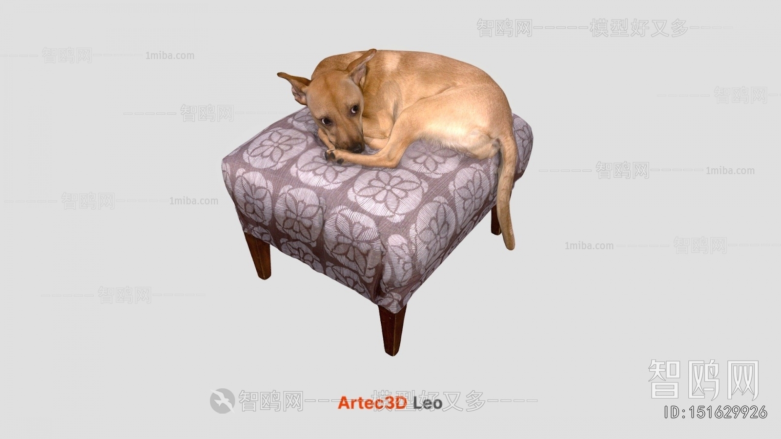 Modern Animal Dog