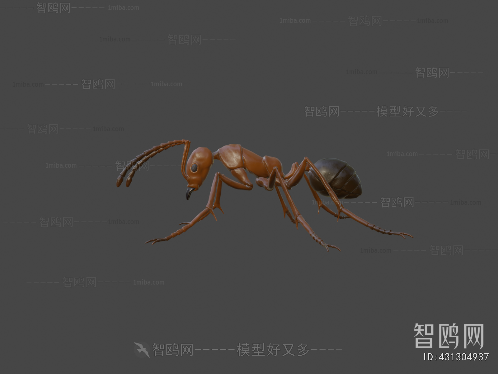 Modern Animal