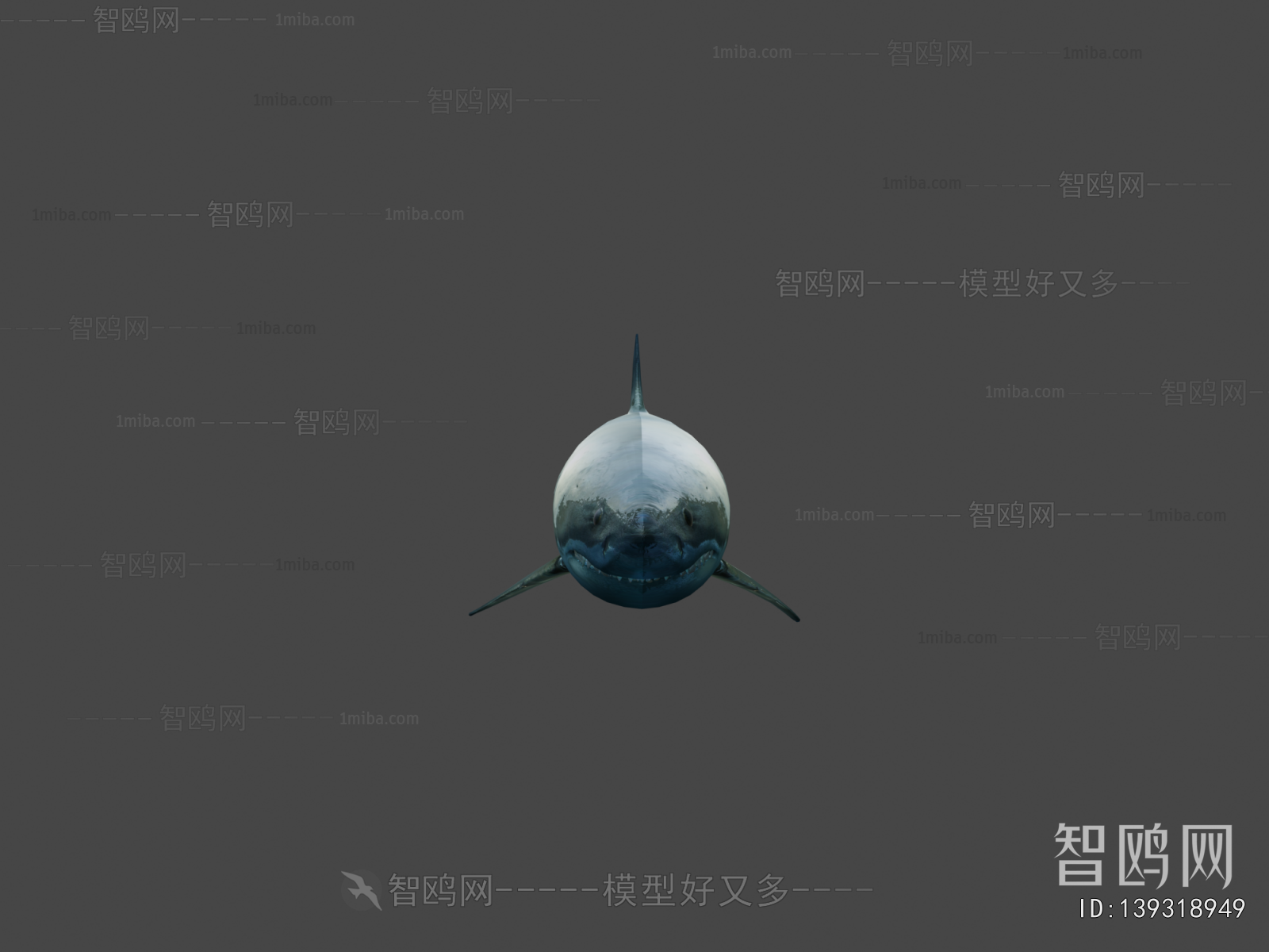 Modern Animal