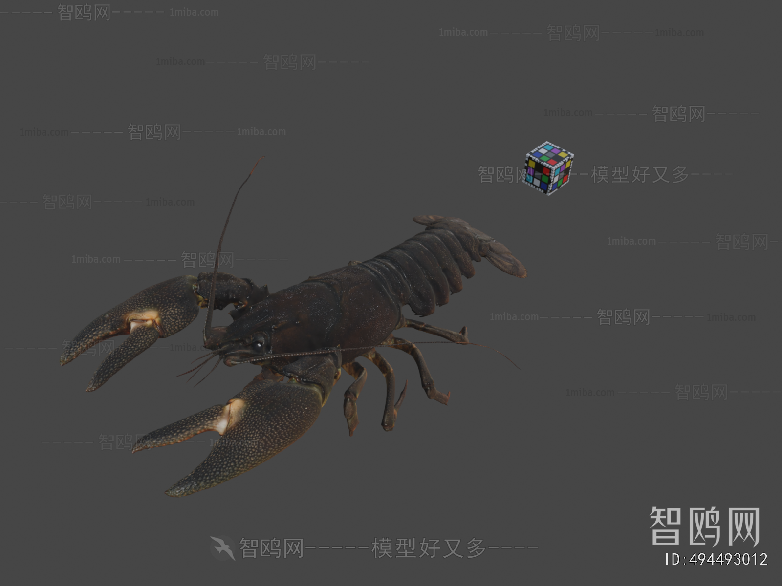 Modern Animal