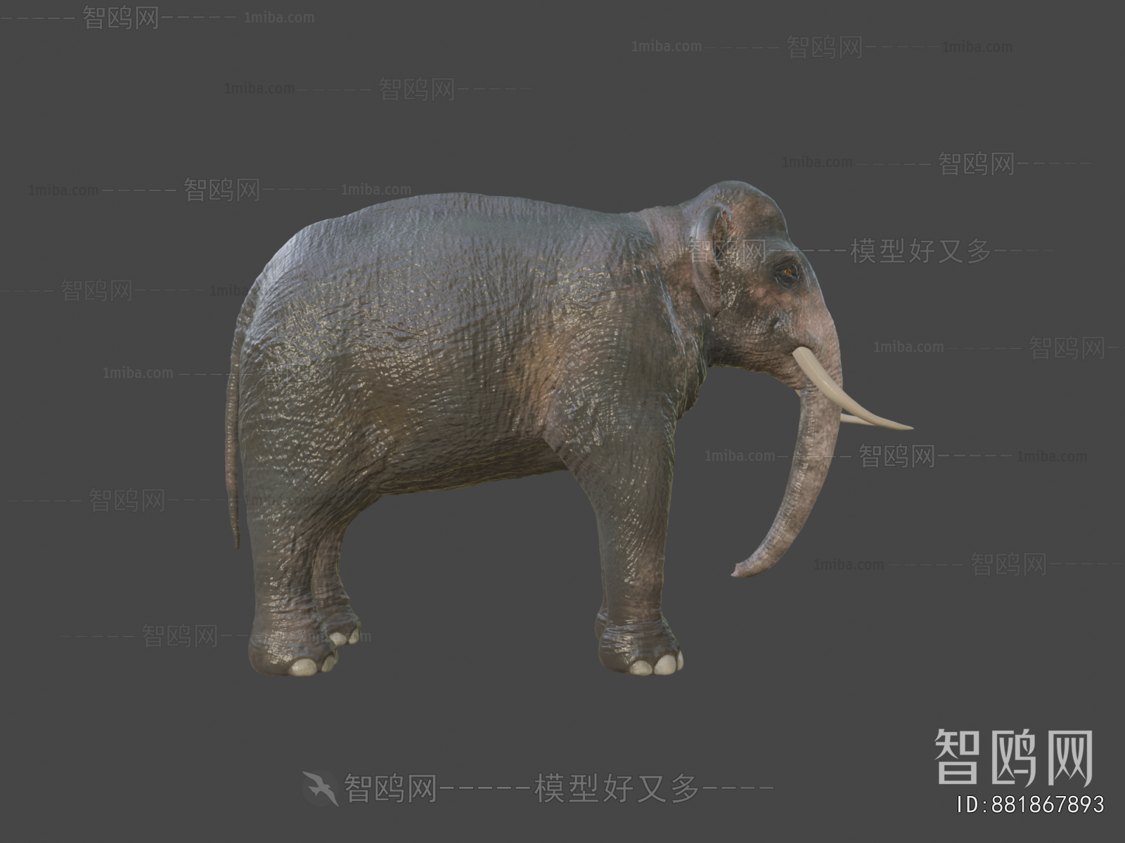 Modern Animal