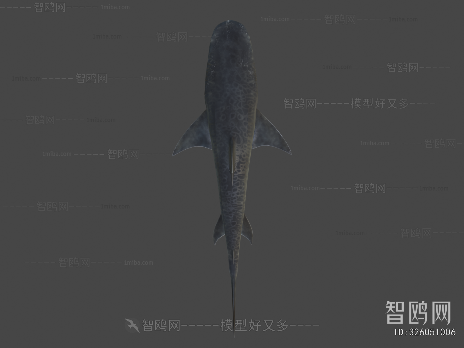 Modern Aquatic Animals