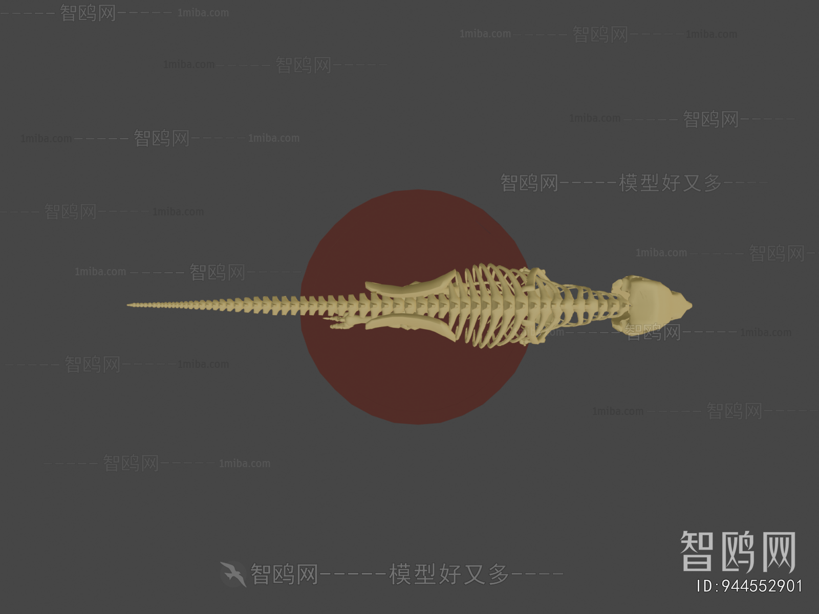 Modern Medical Equipment