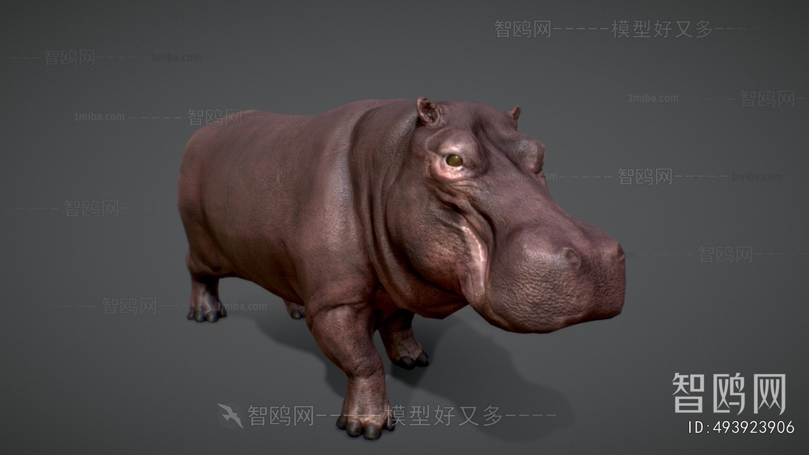 Modern Animal