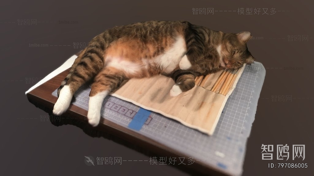 Modern Animal