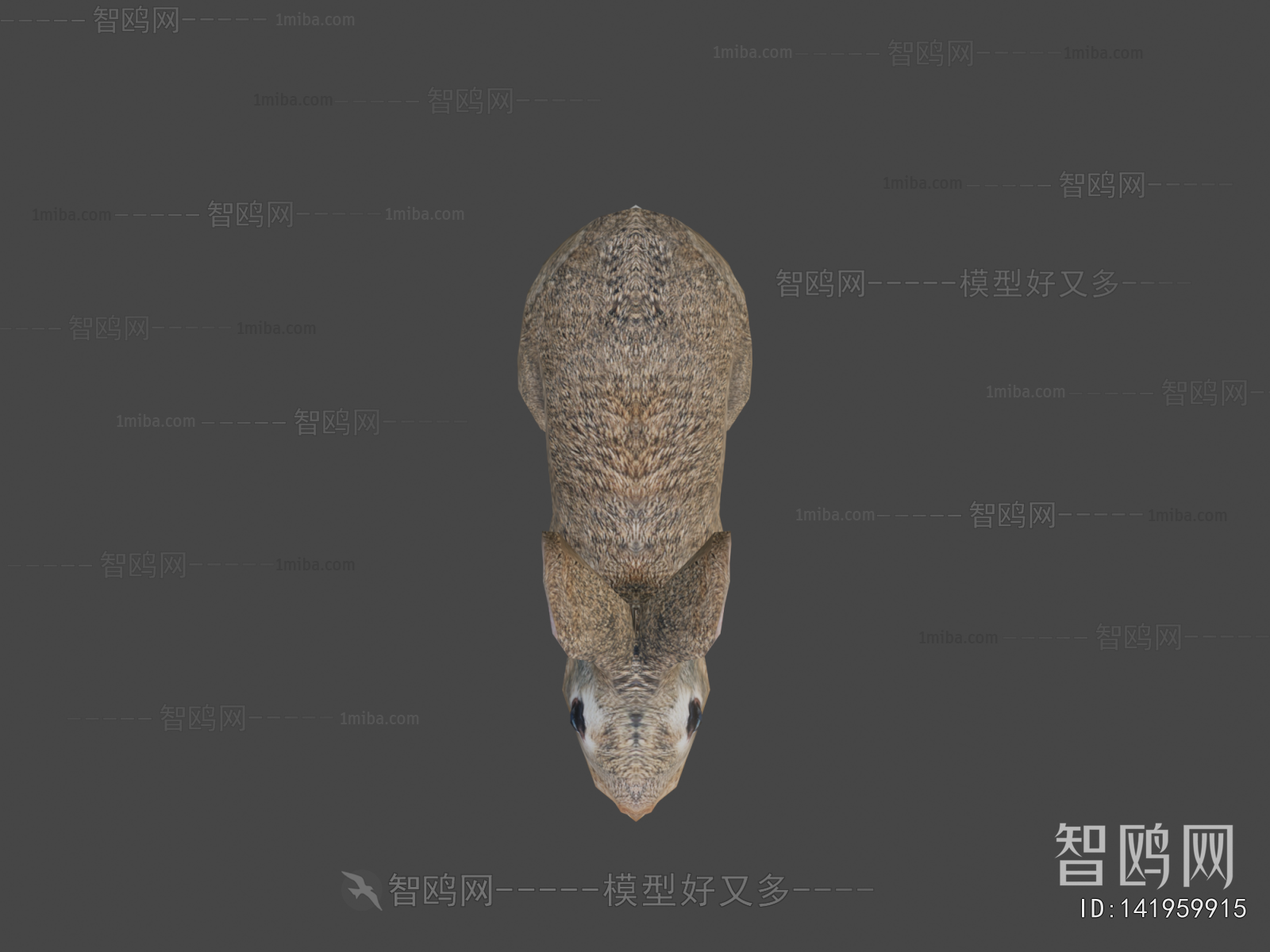 Modern Mammal