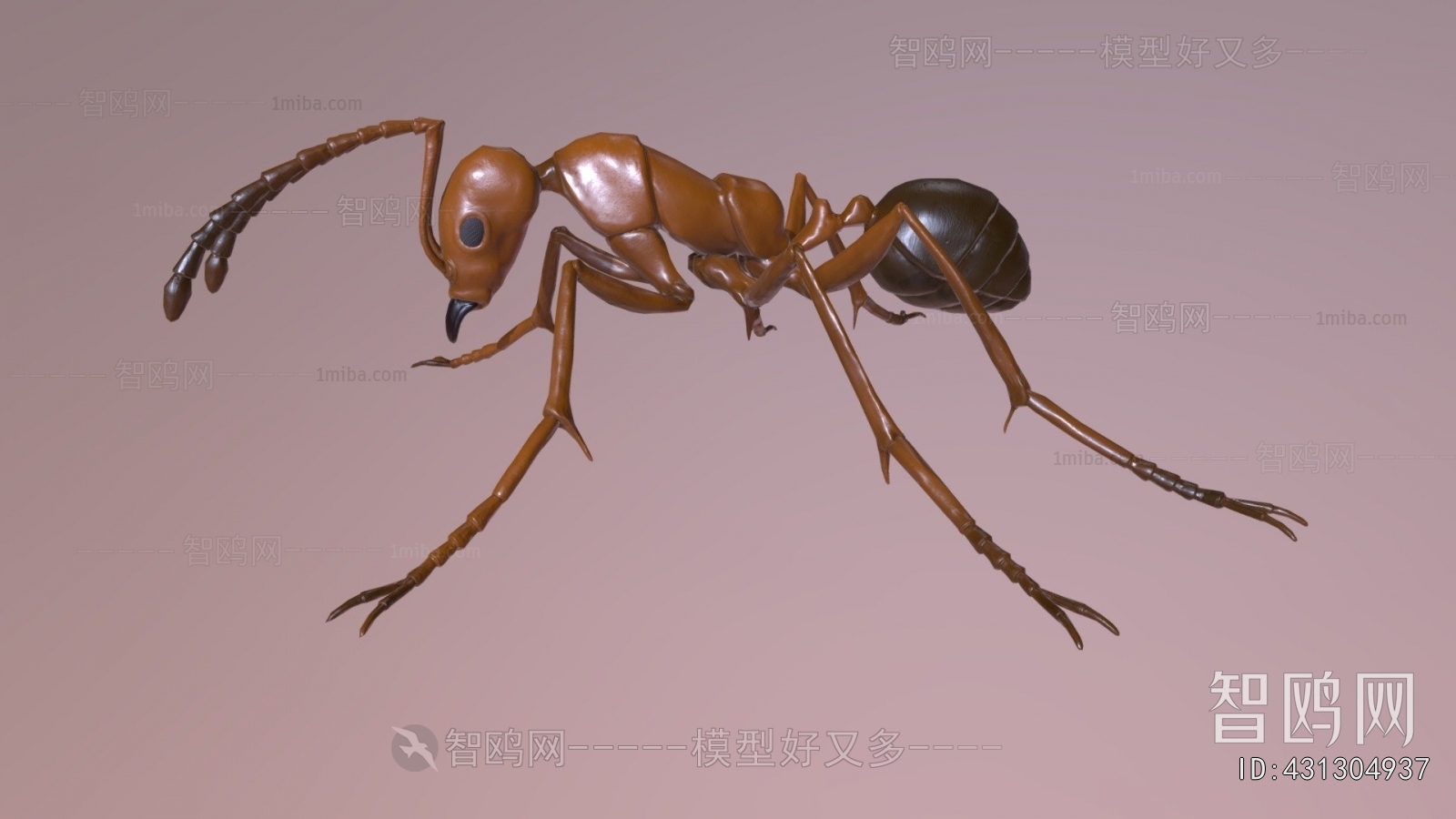 Modern Animal