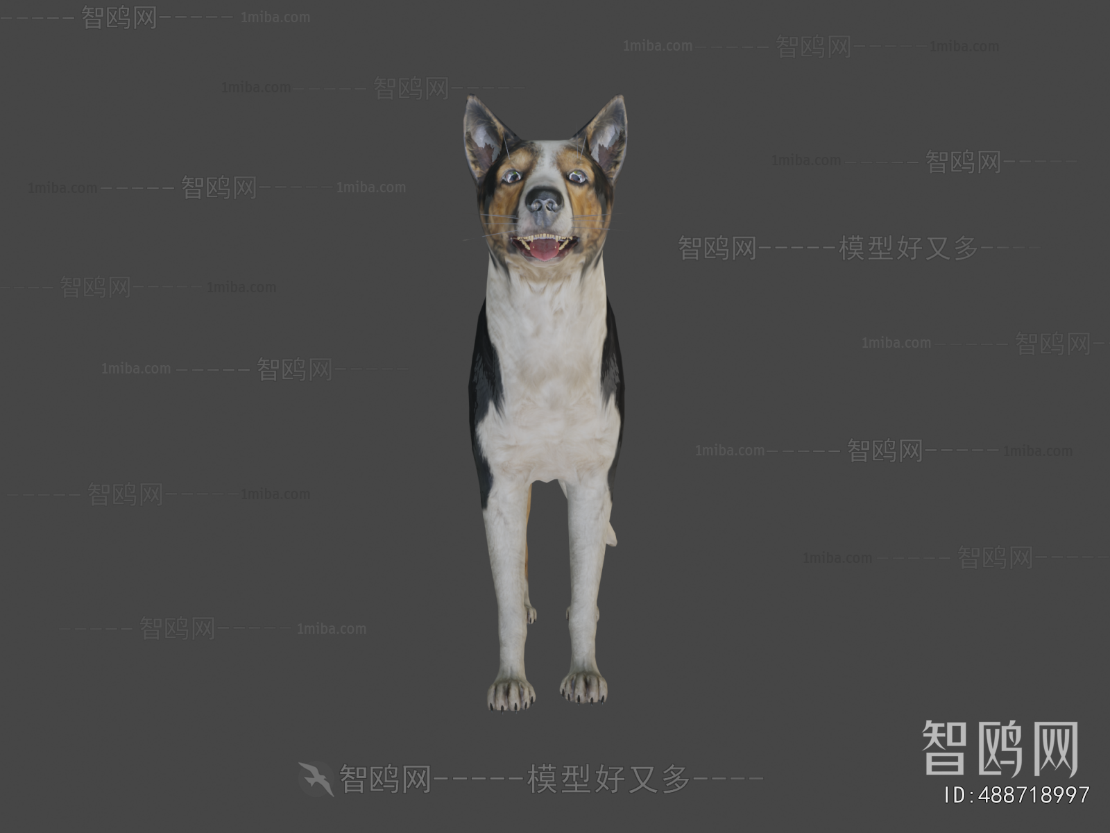 Modern Animal Dog