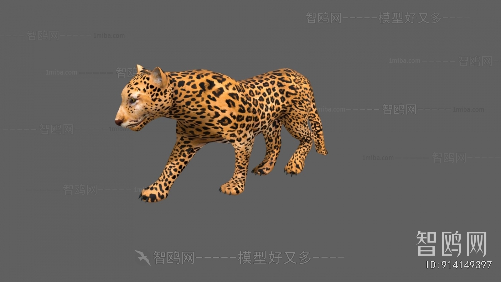 Modern Mammal