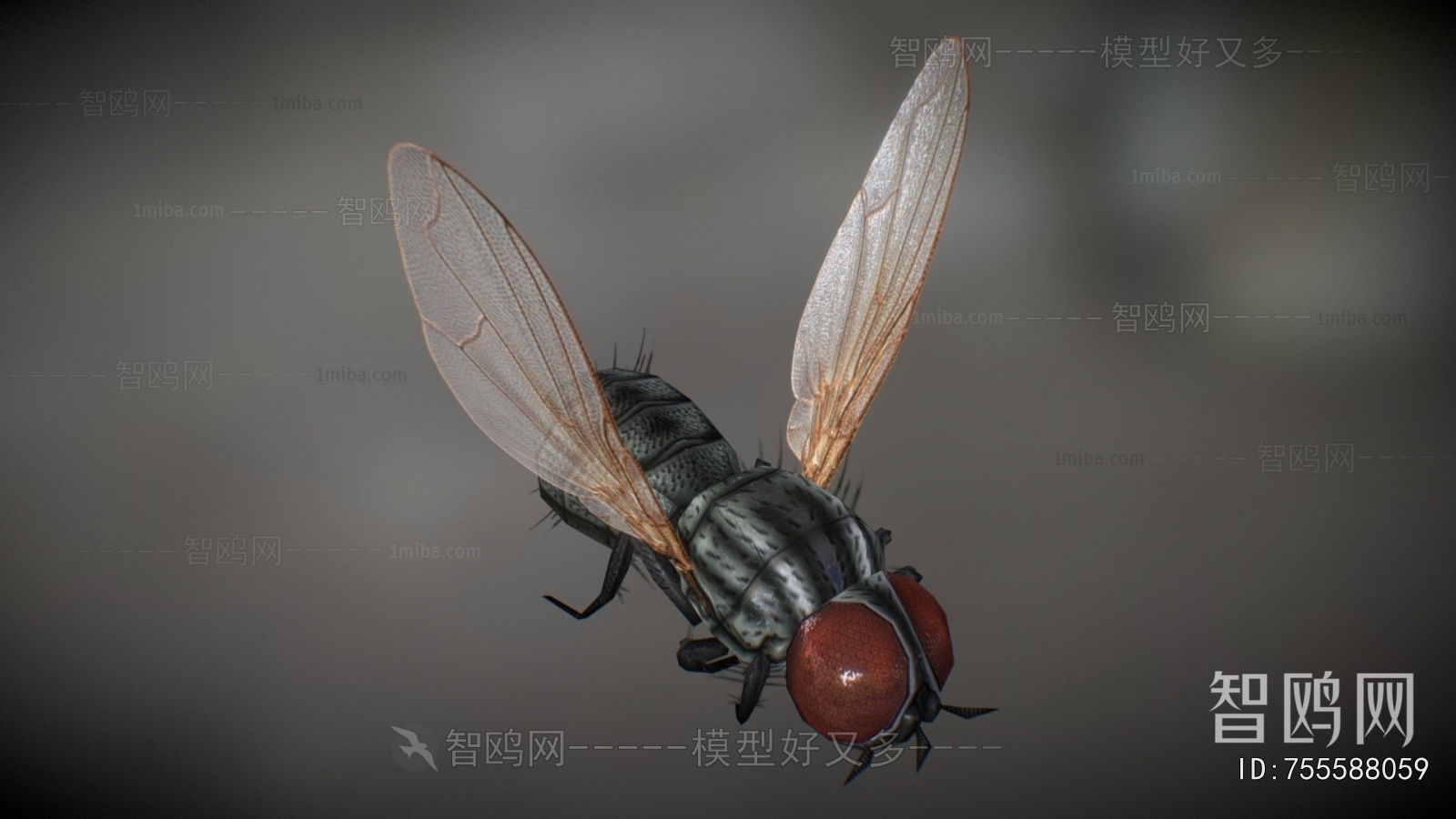 Modern Other Animals
