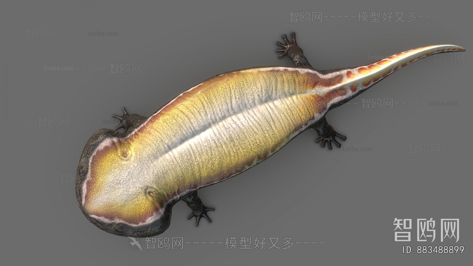 Modern Animal