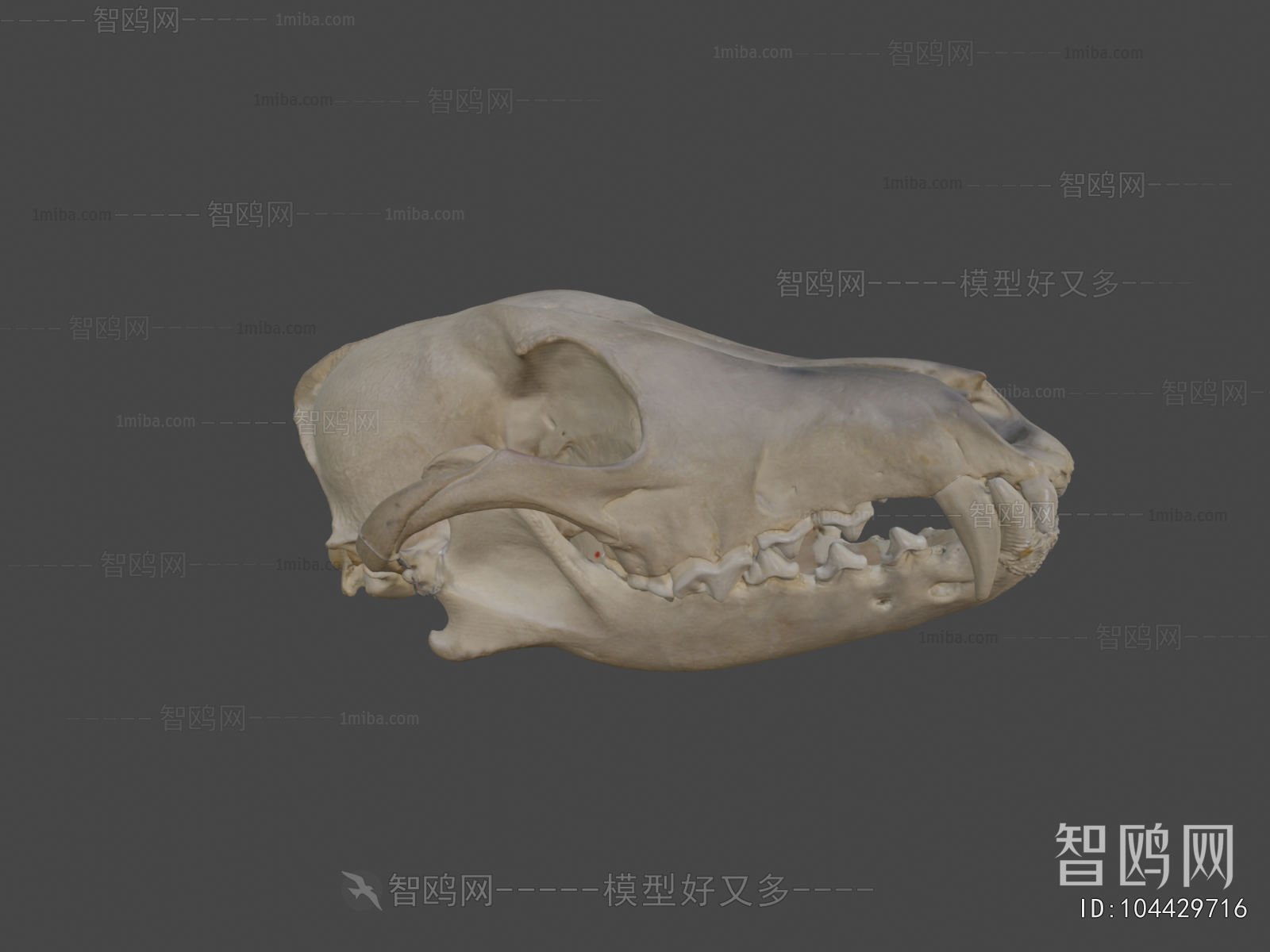 Modern Medical Equipment