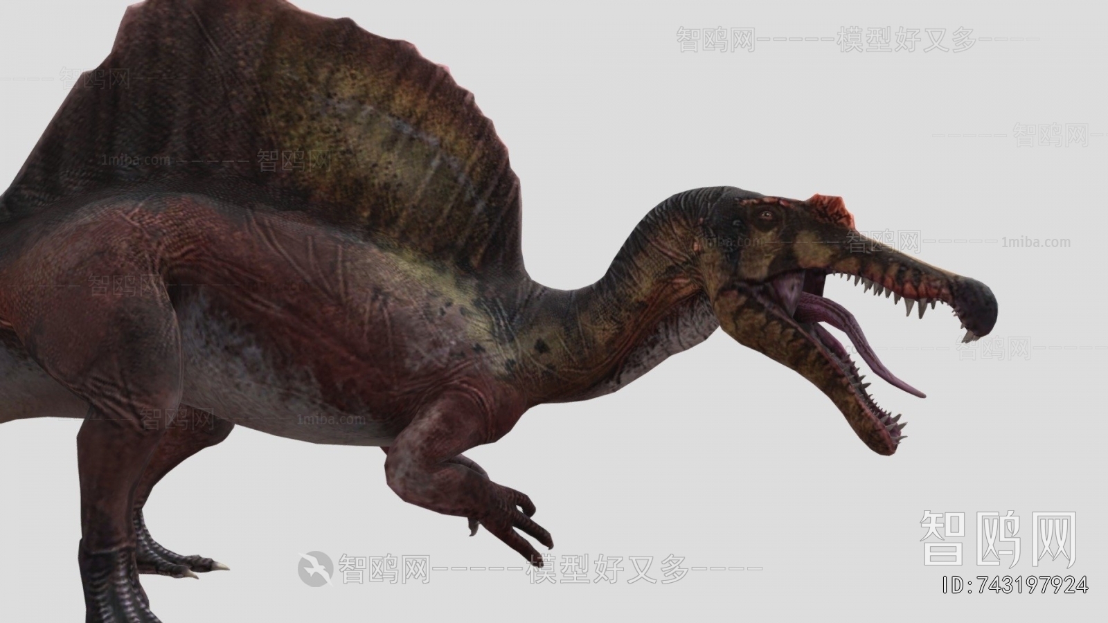 Modern Animal