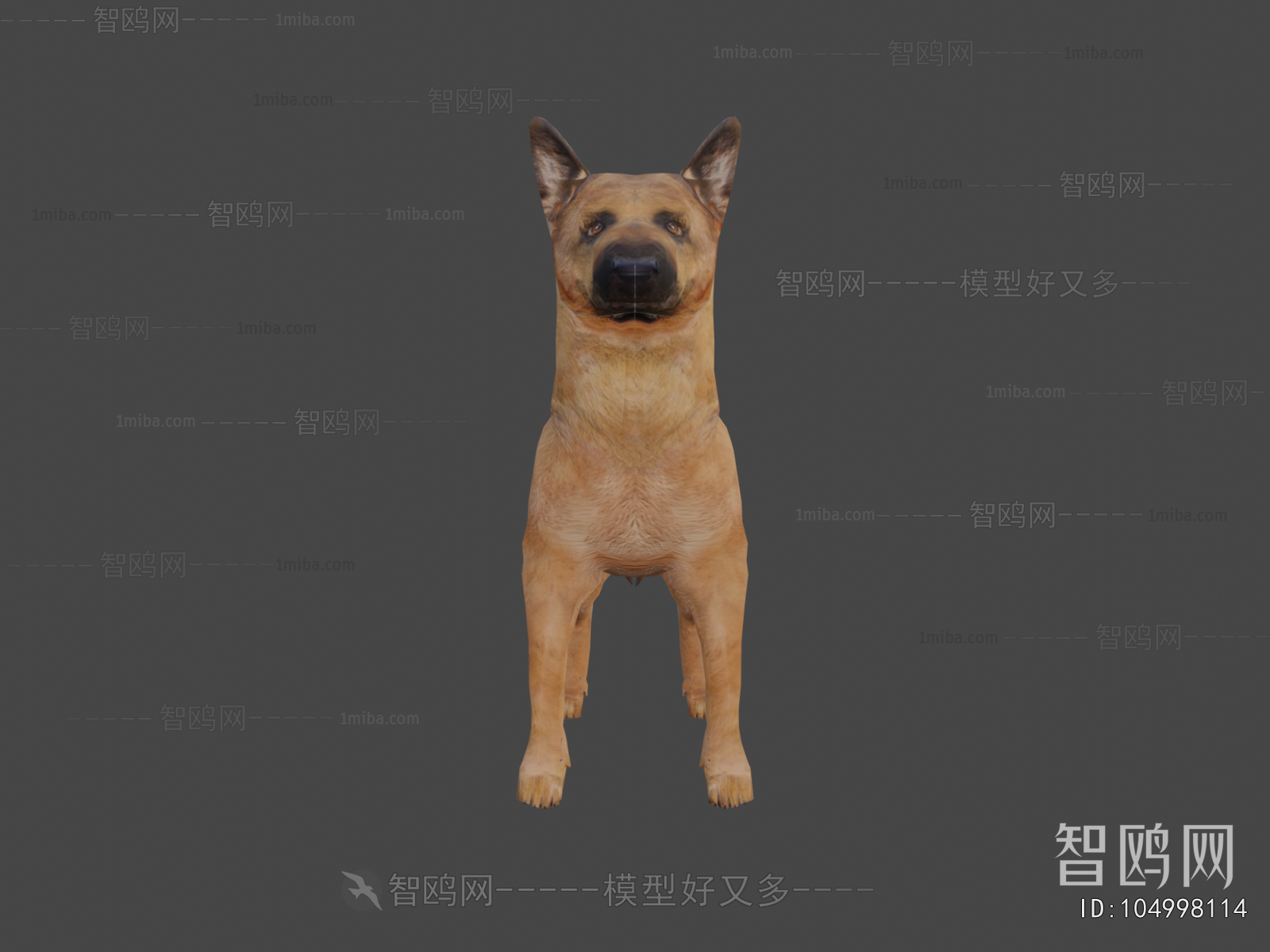 Modern Animal Dog