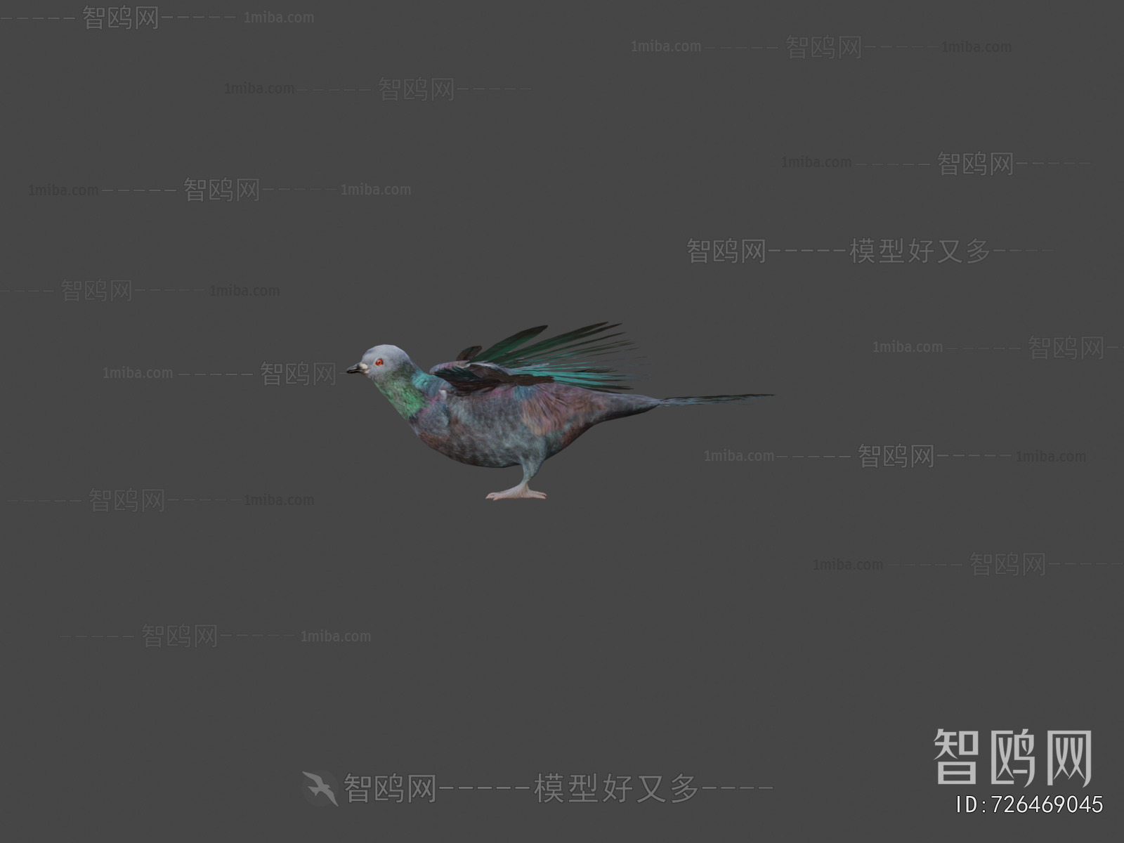Modern Flying Animals