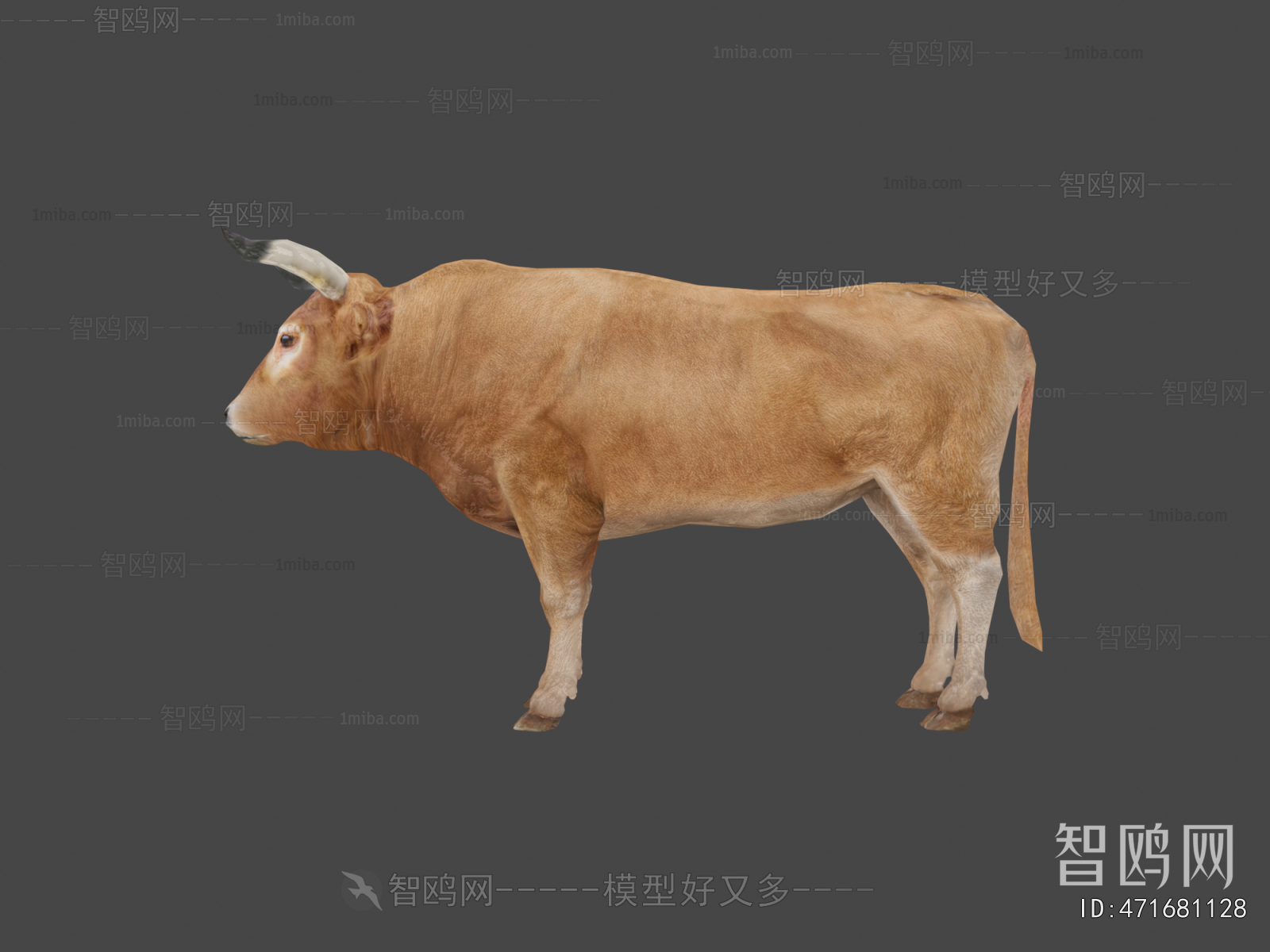 Modern Mammal