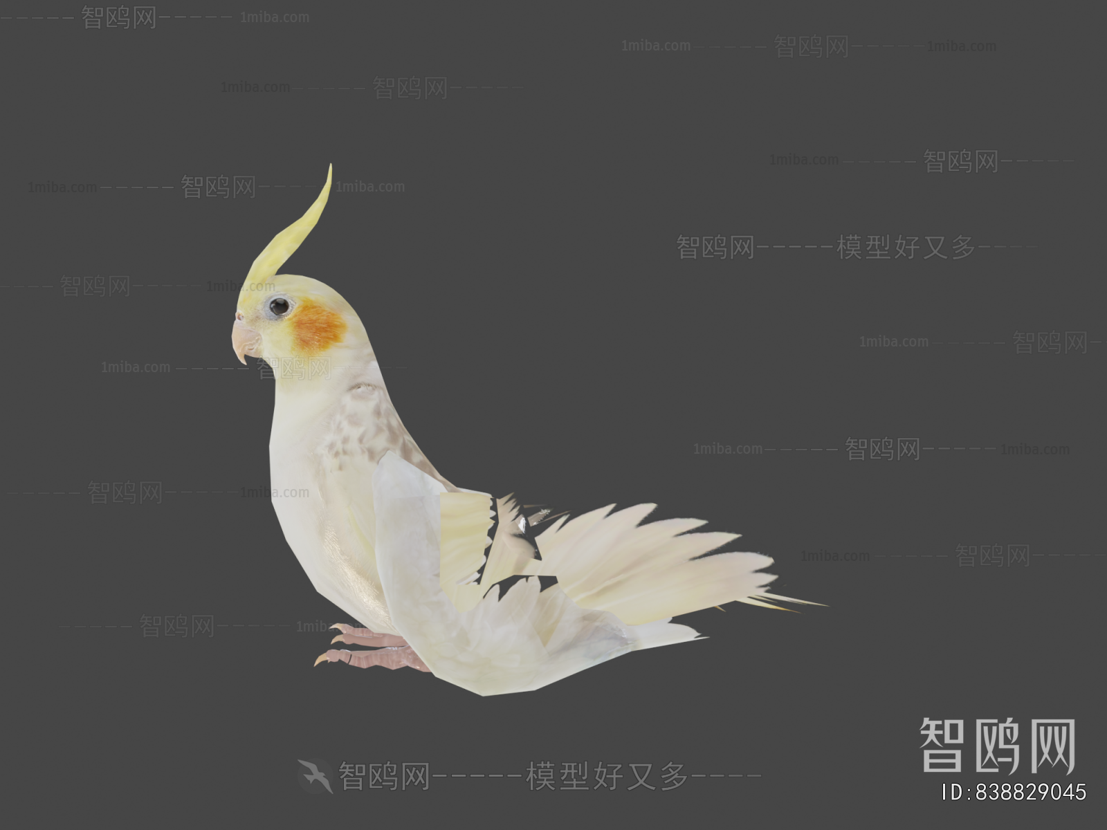 Modern Flying Animals