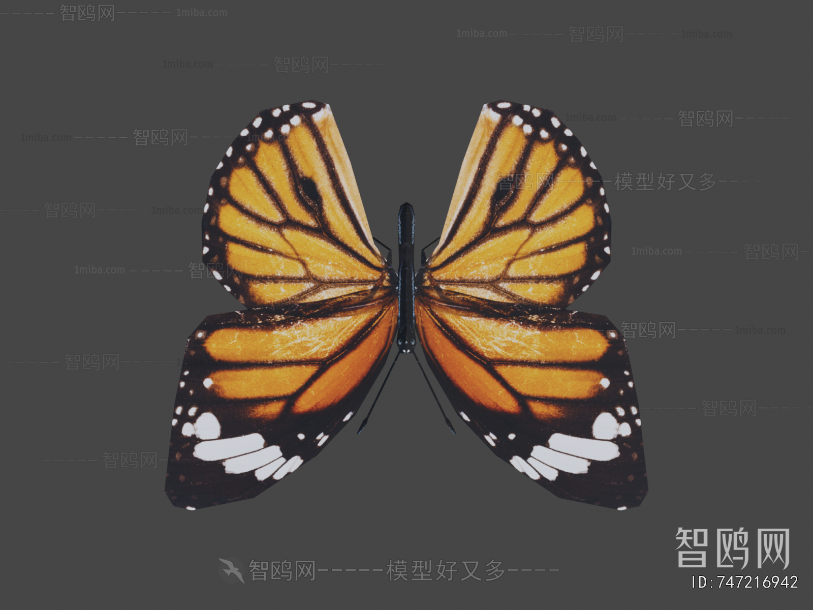 Modern Animal