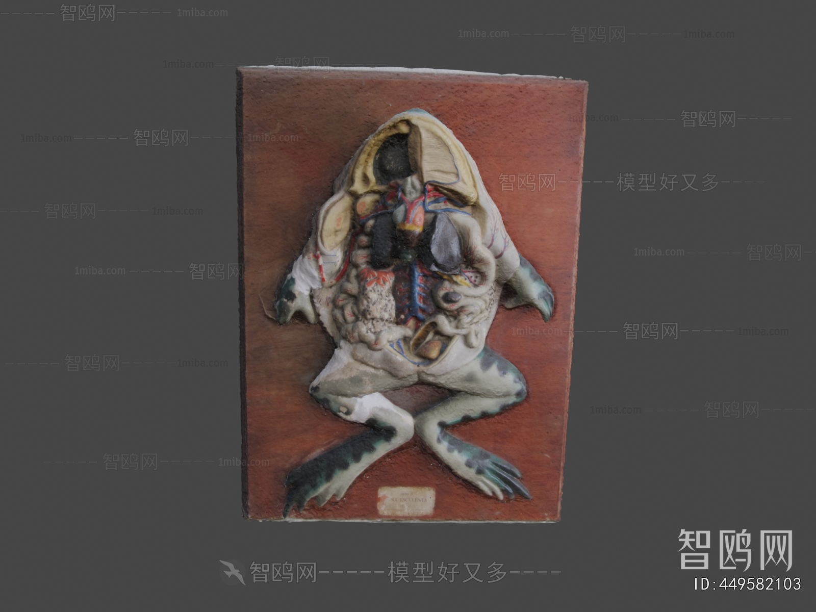 Modern Medical Equipment