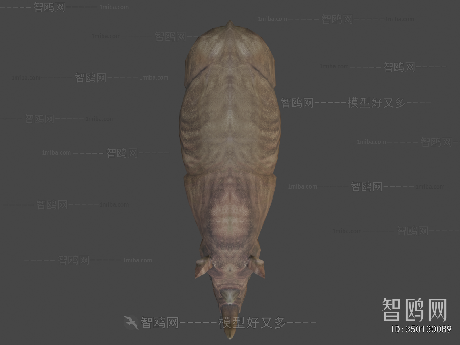Modern Mammal