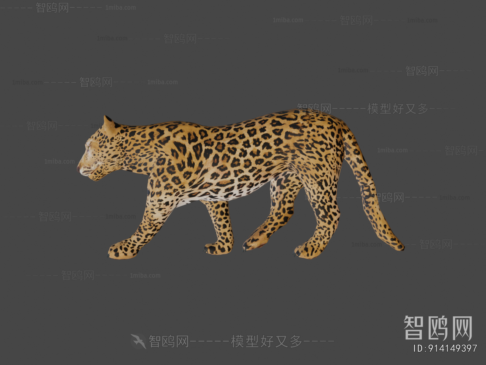 Modern Mammal