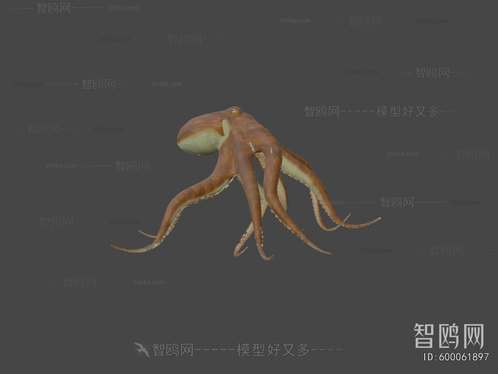 Modern Animal