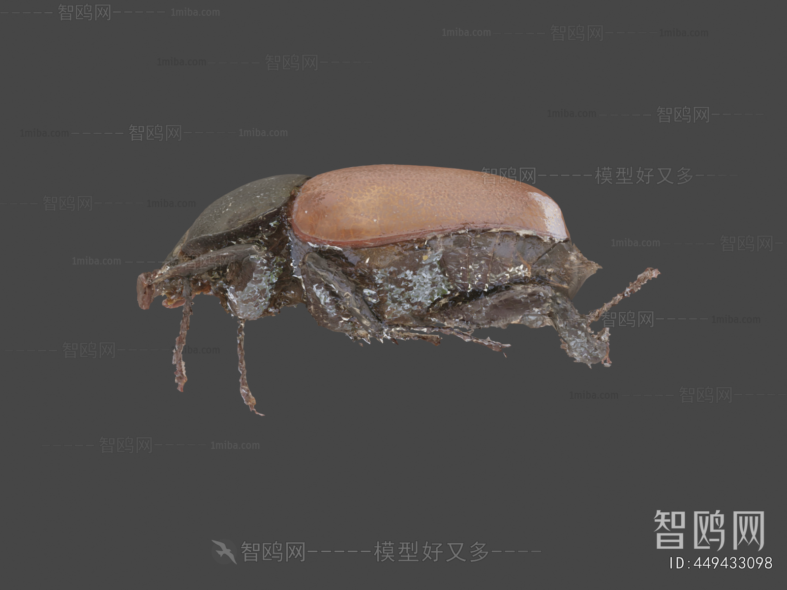 Modern Animal