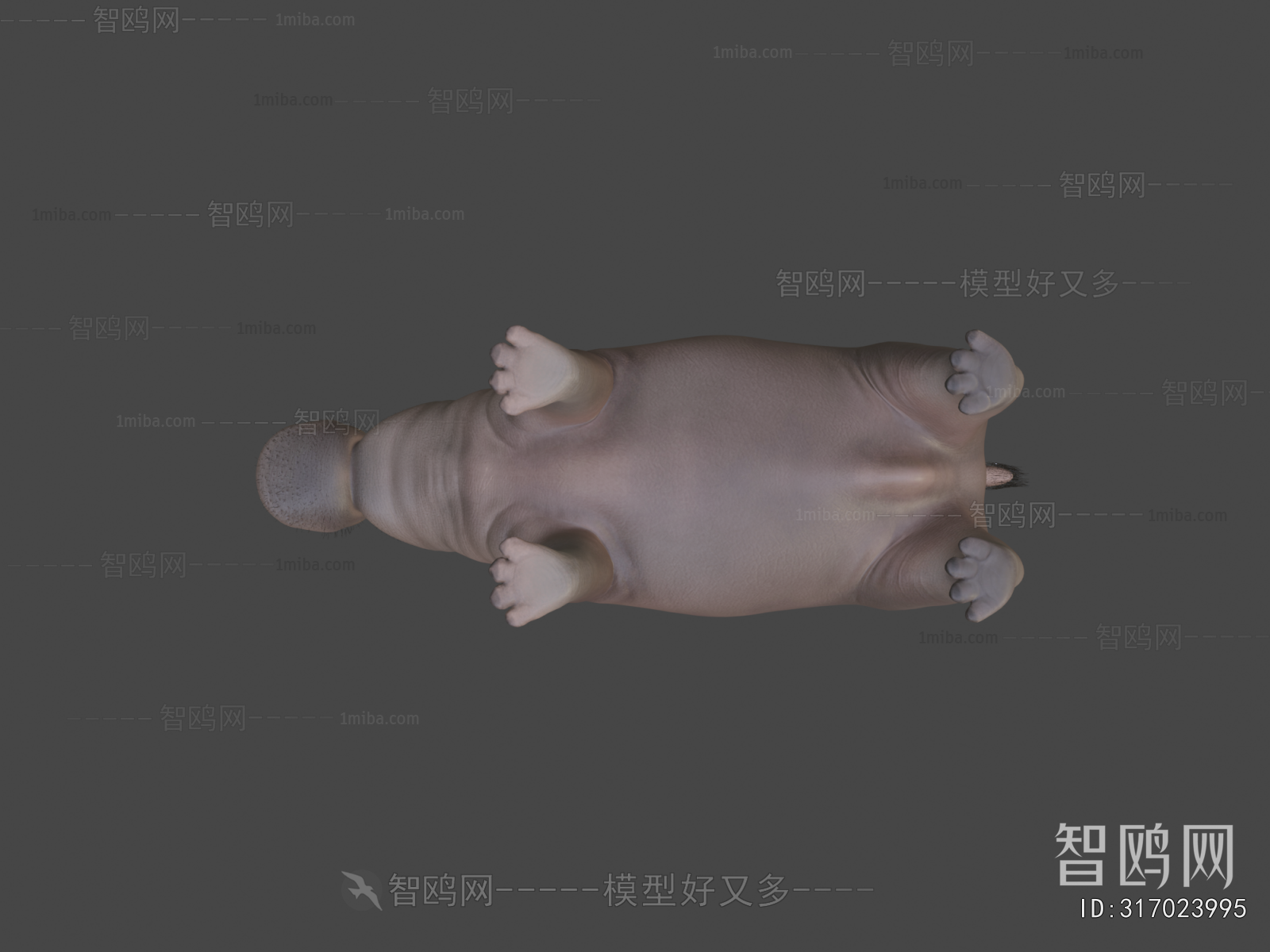 Modern Animal