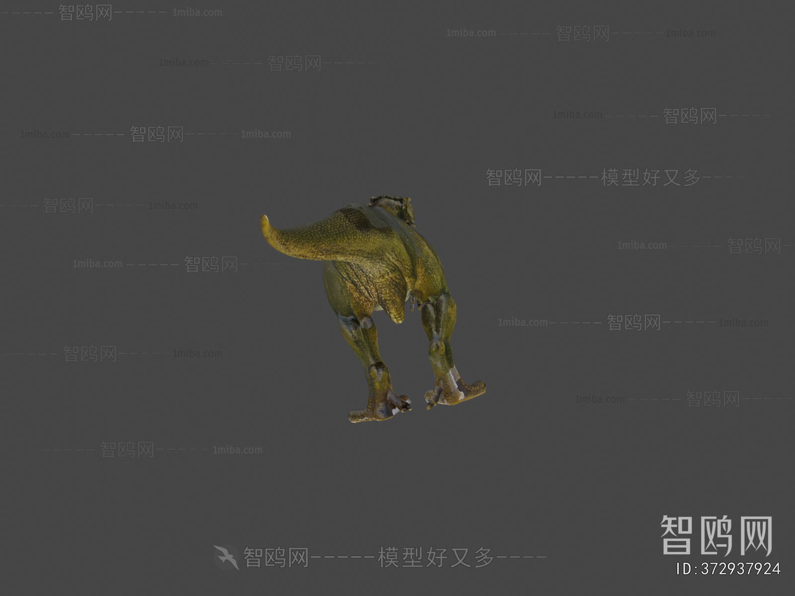 Modern Animal