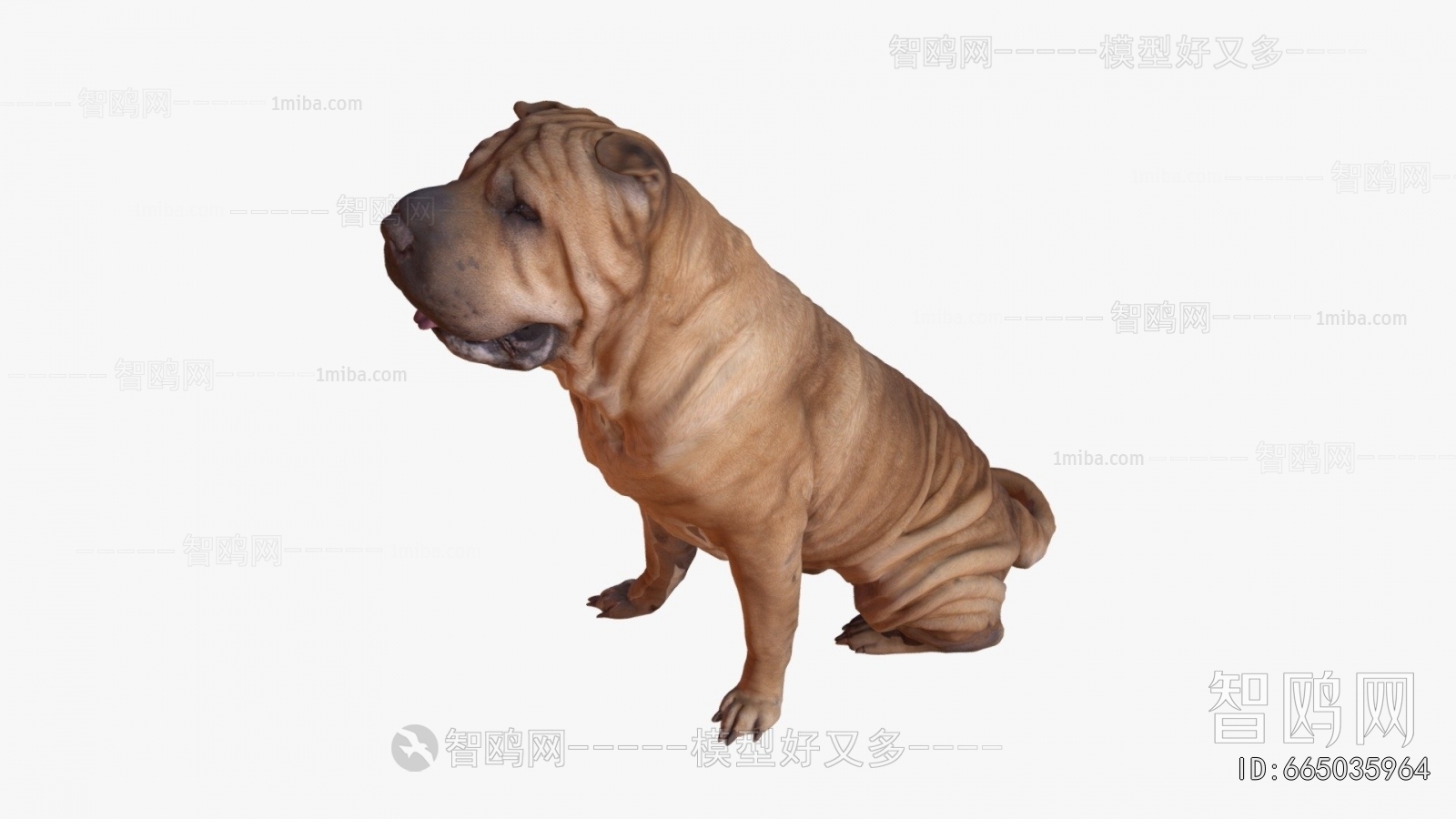 Modern Animal Dog
