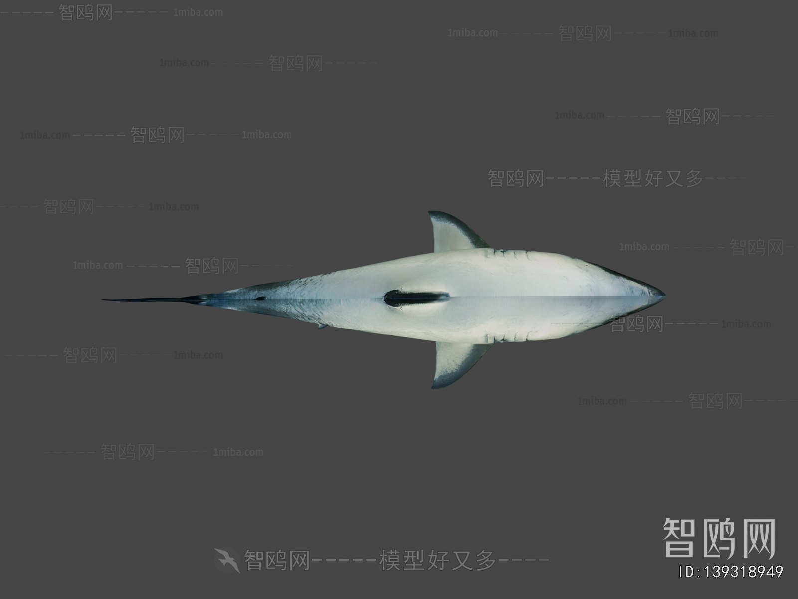 Modern Animal