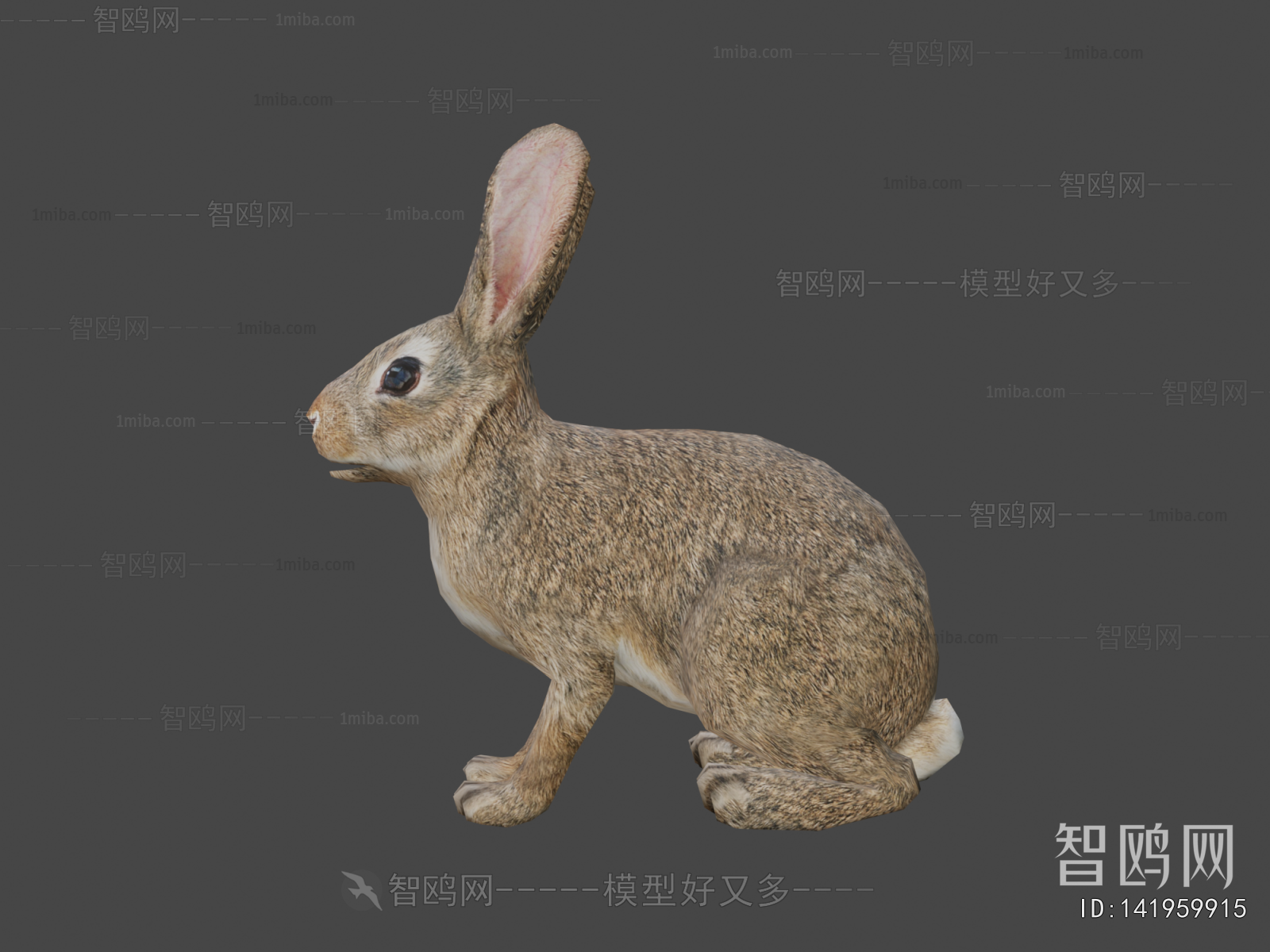Modern Mammal