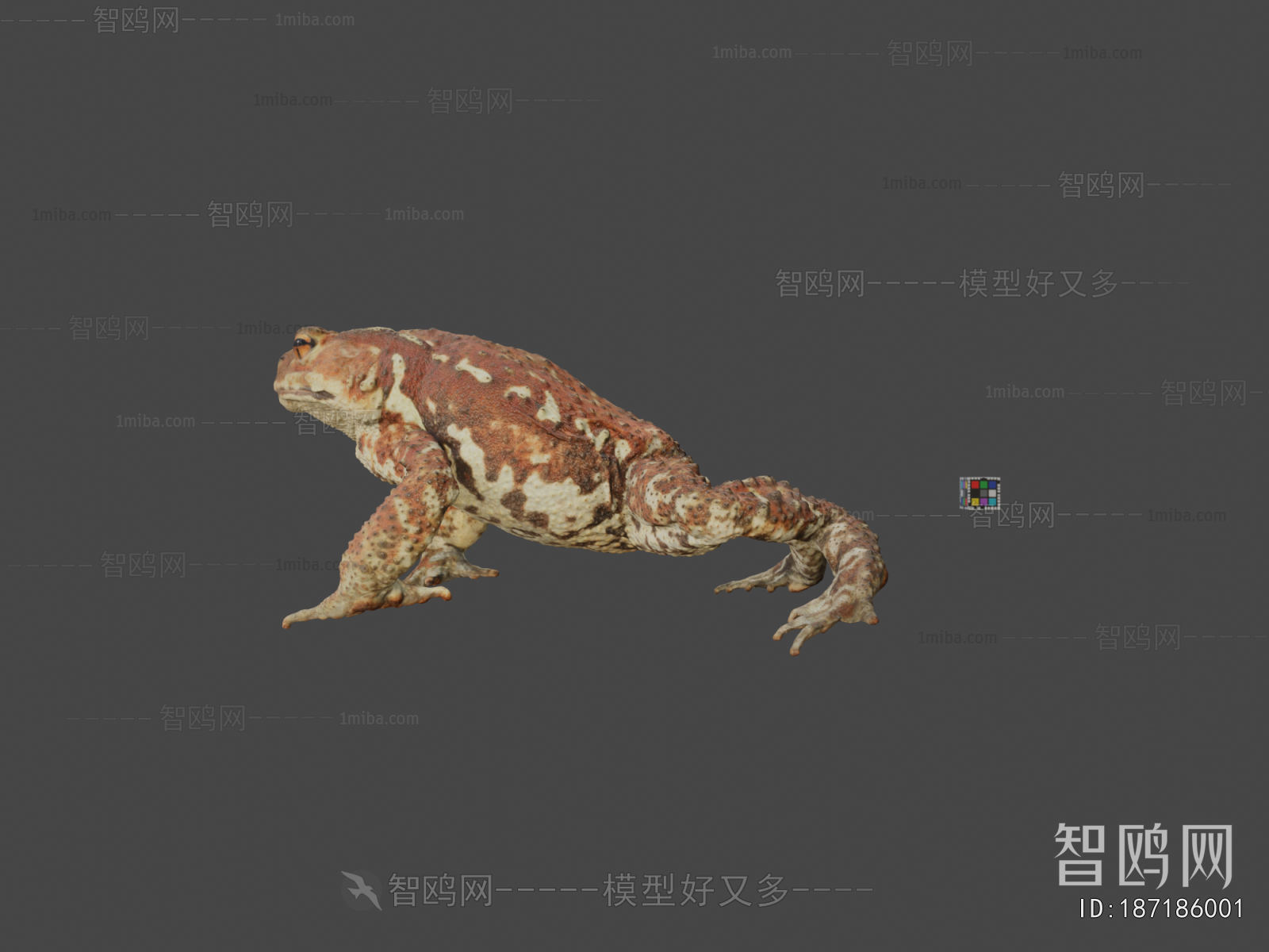 Modern Animal