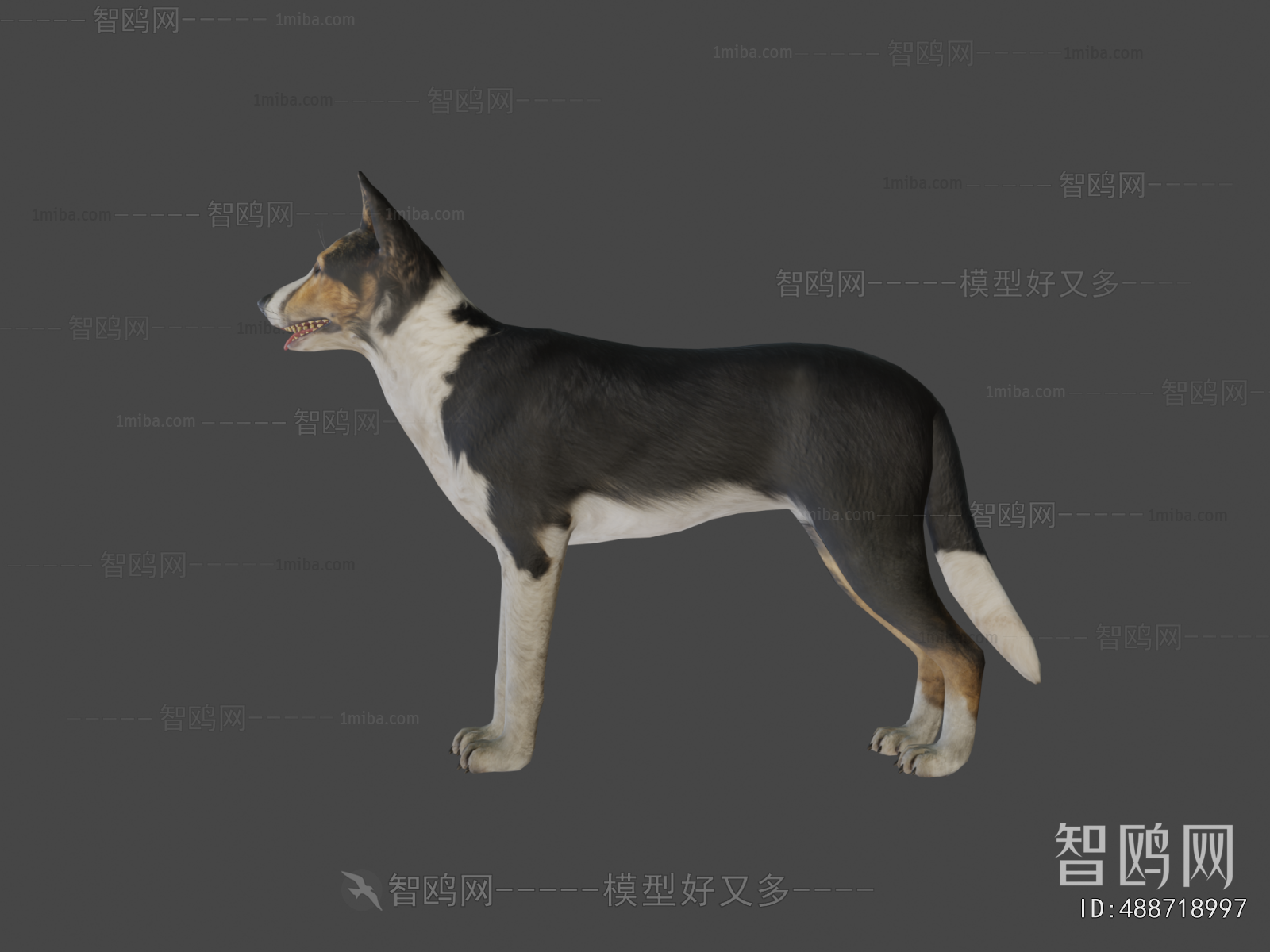 Modern Animal Dog