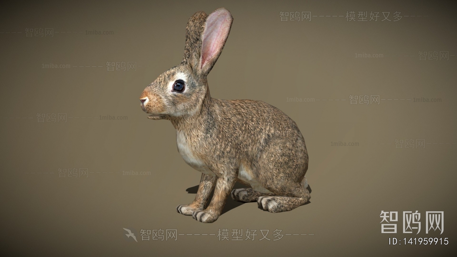Modern Mammal