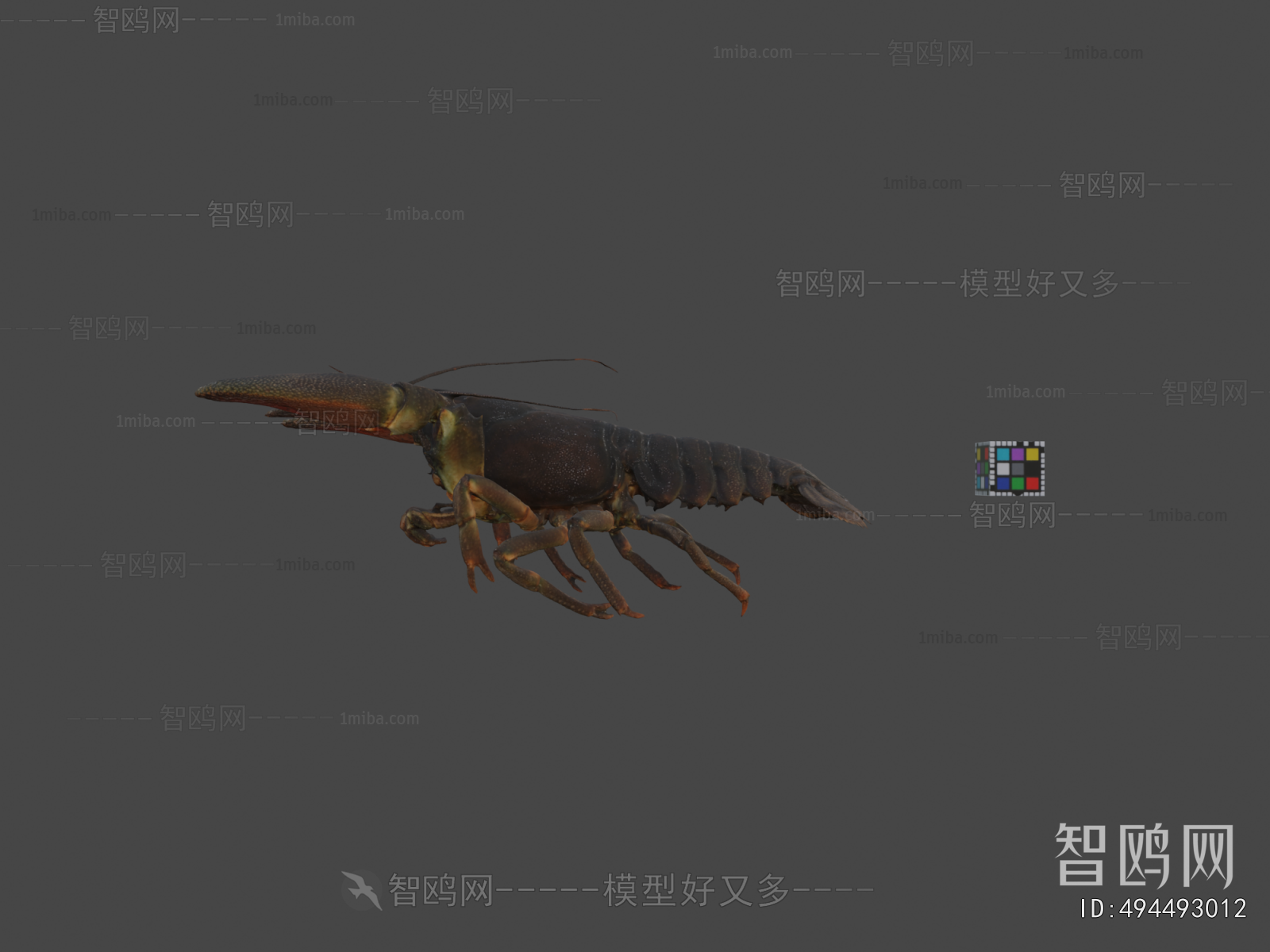 Modern Animal