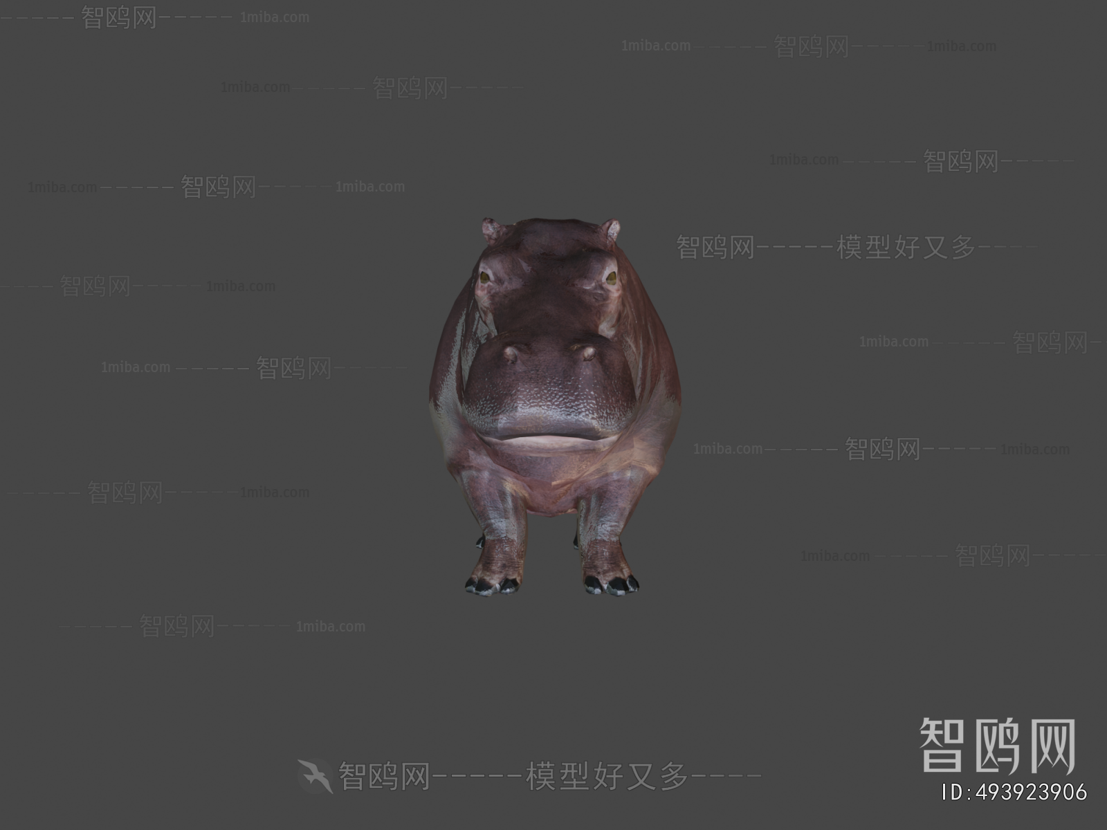 Modern Animal