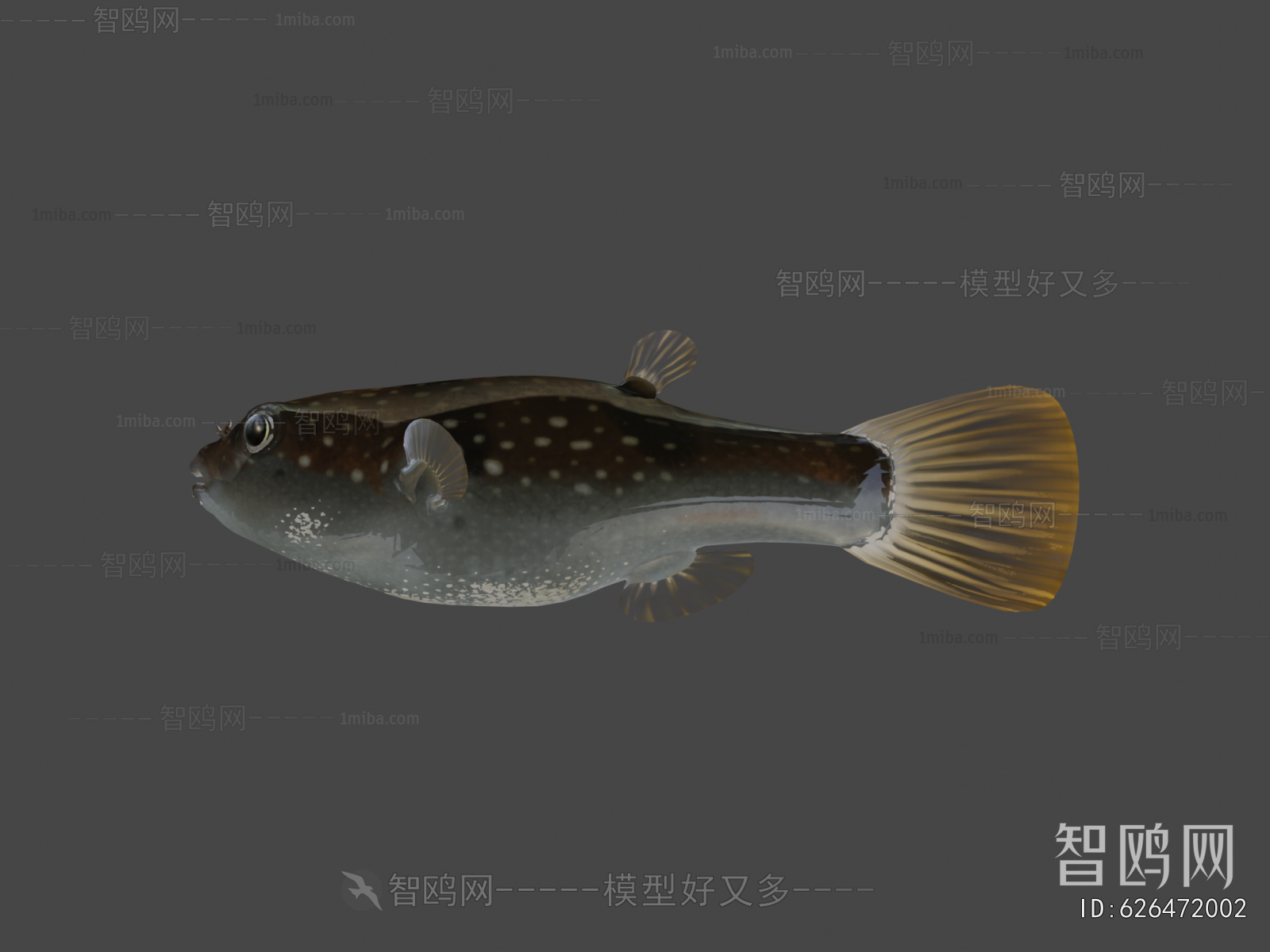 Modern Aquatic Animals