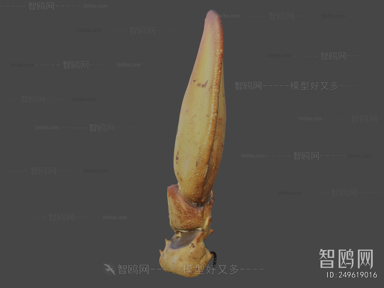 Modern Medical Equipment