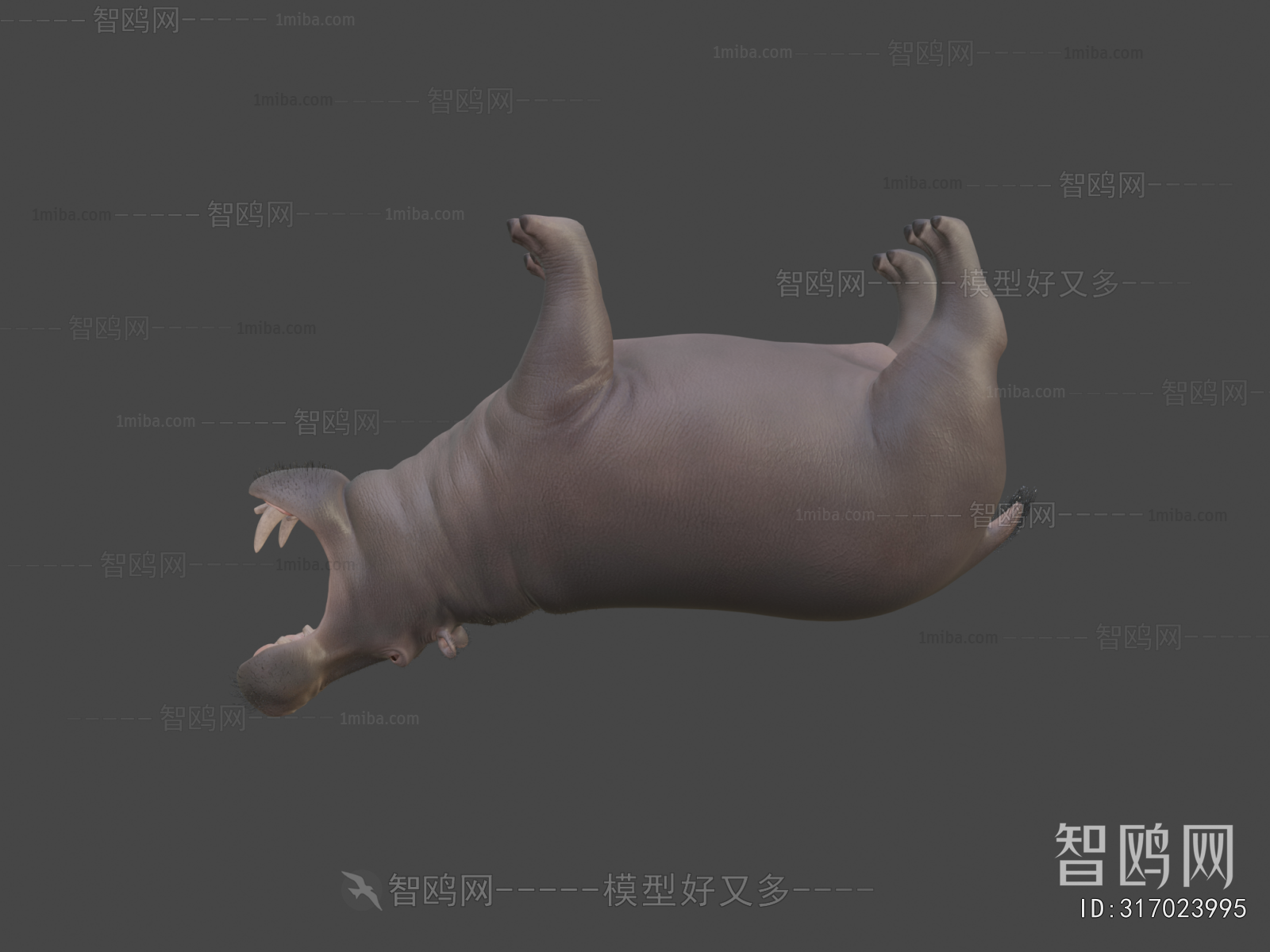 Modern Animal