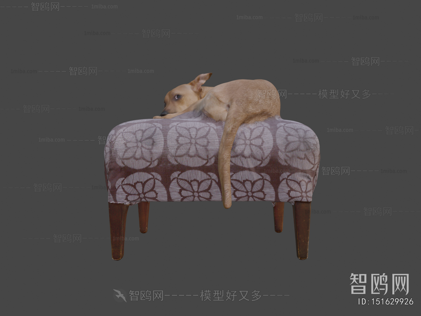Modern Animal Dog