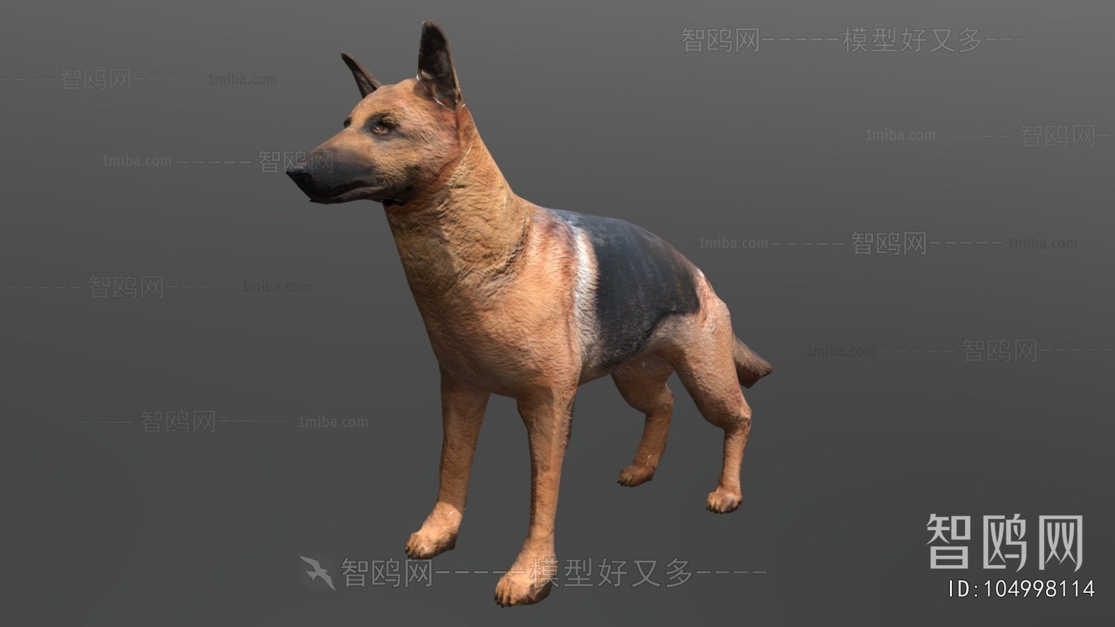 Modern Animal Dog