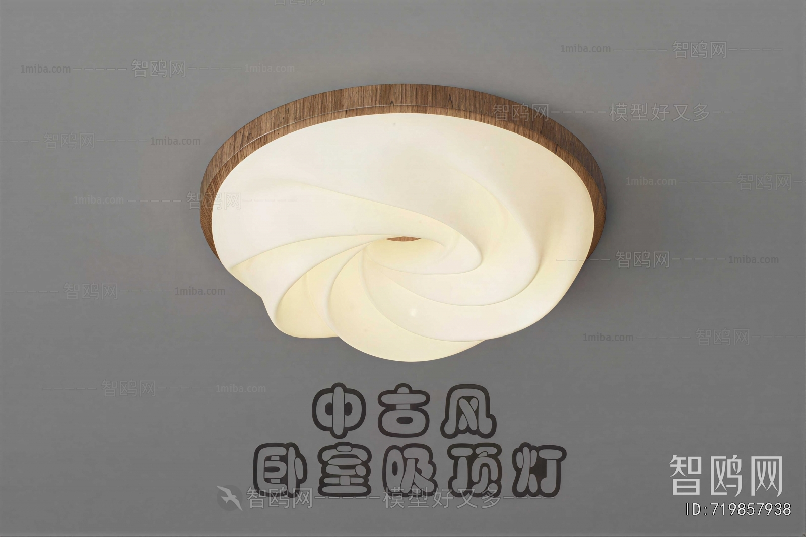 Modern Ceiling Ceiling Lamp