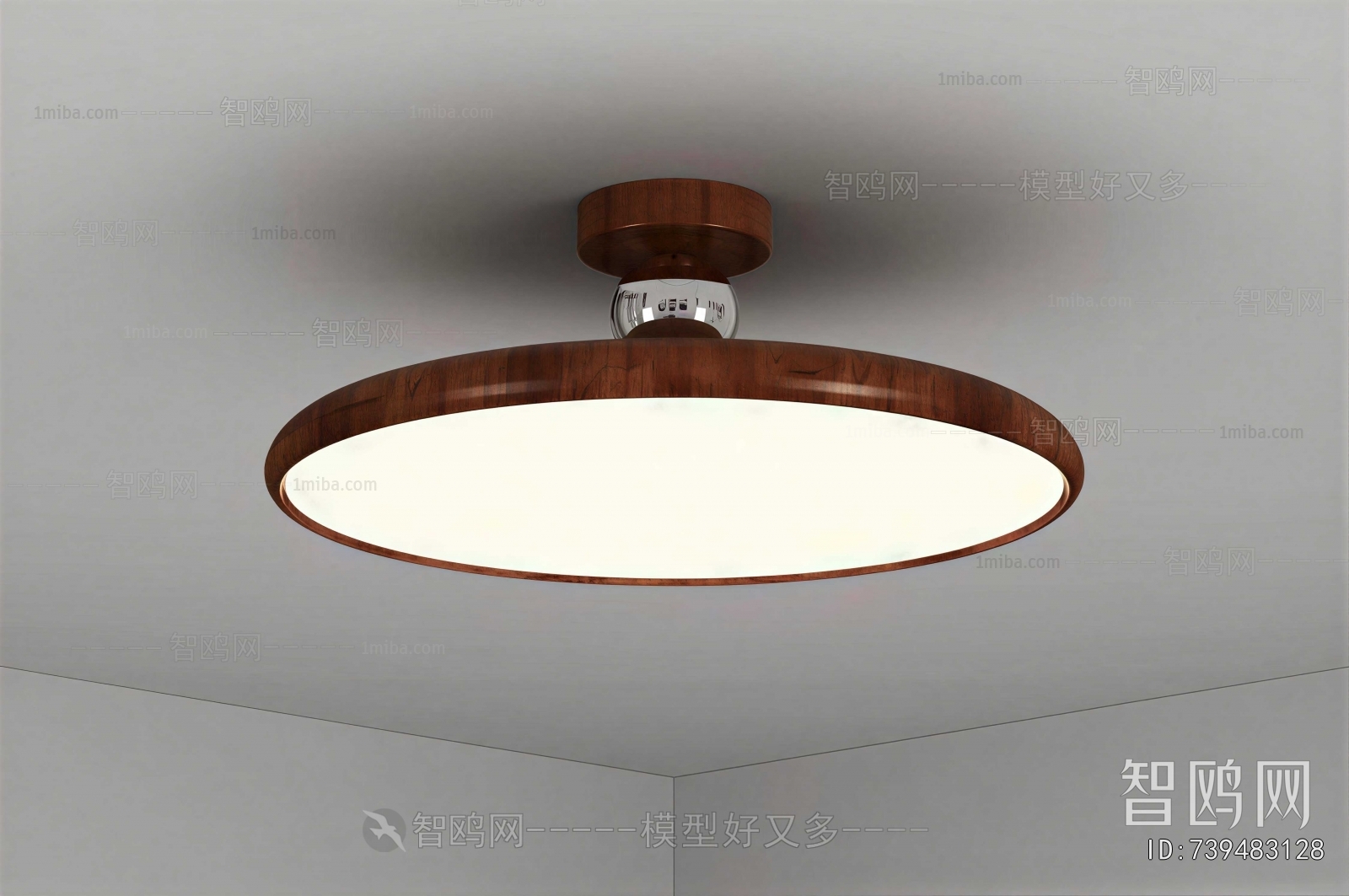 Modern Ceiling Ceiling Lamp